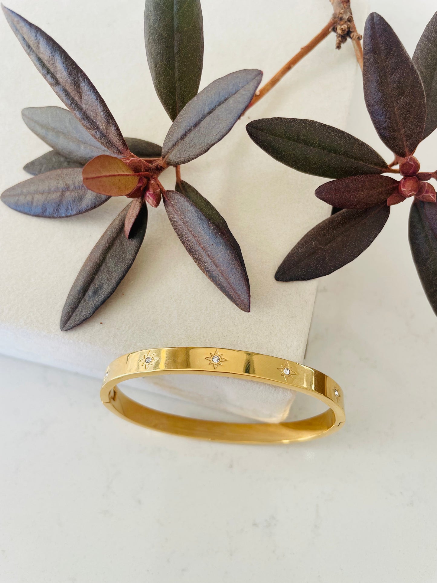Bracelet jonc Shiny Star